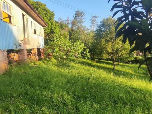 #221 - Chácara para Venda em Santo Antônio da Patrulha - RS