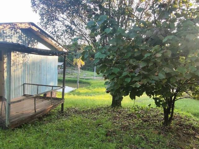 Chácara para Venda em Santo Antônio da Patrulha - 5