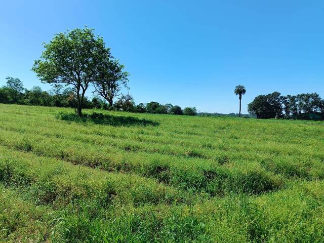 #231 - Área para Venda em Gravataí - RS