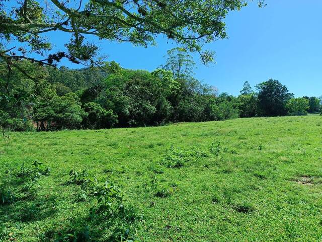 #231 - Área para Venda em Gravataí - RS